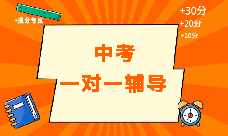 中考一对一辅导