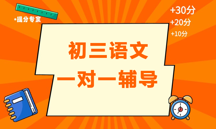 初三语文一对一辅导