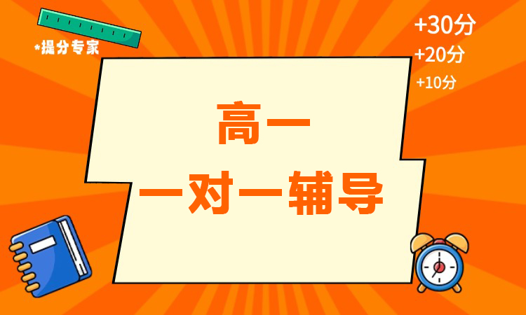 高一 一对一辅导